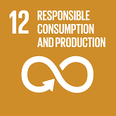 Logo: UN Sustainable Development Goal 12 — Responsible Consumption and Production